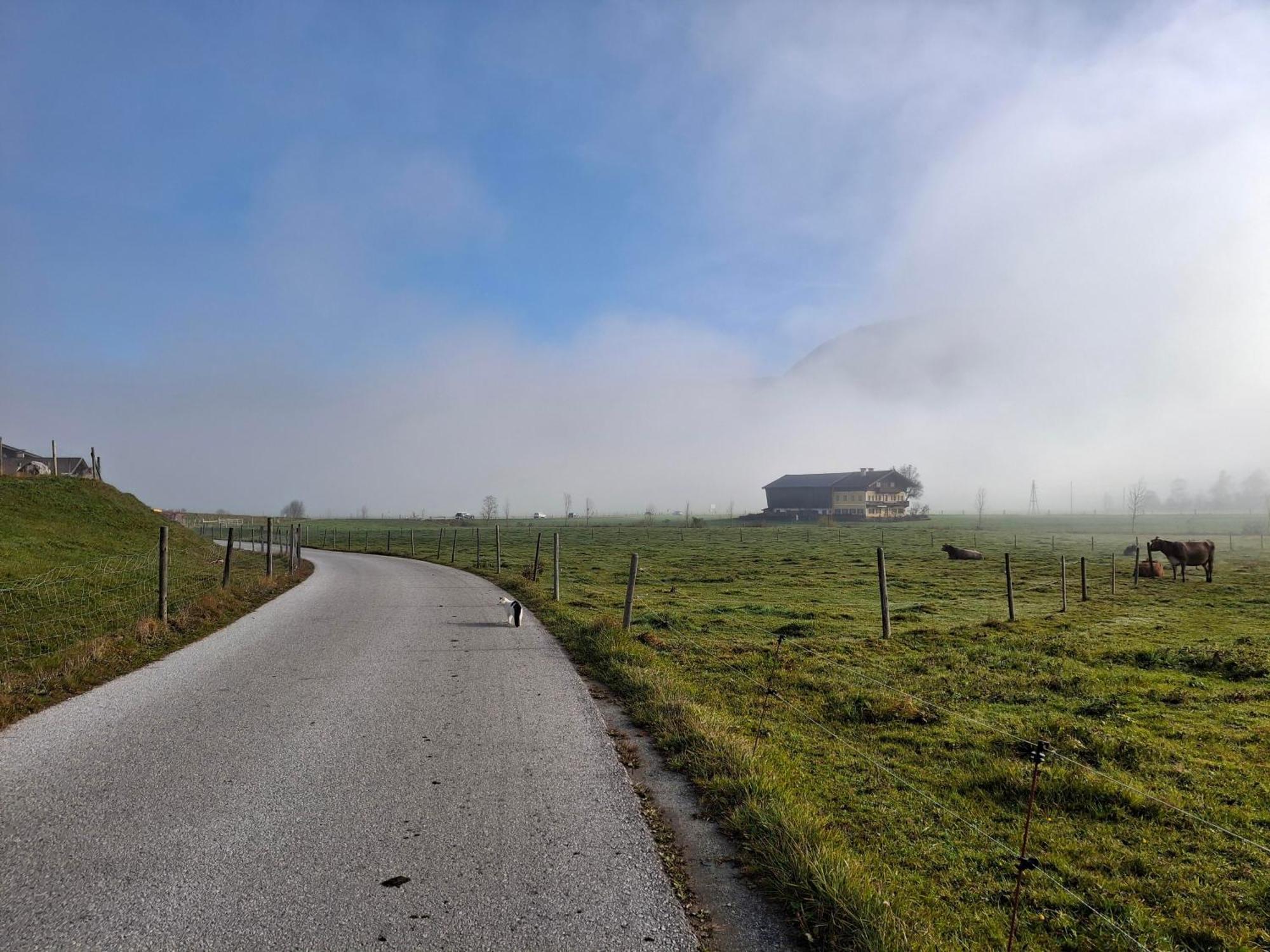 Gospodarstwo agroturystyczne Lampererhof Sankt Johann in Tirol