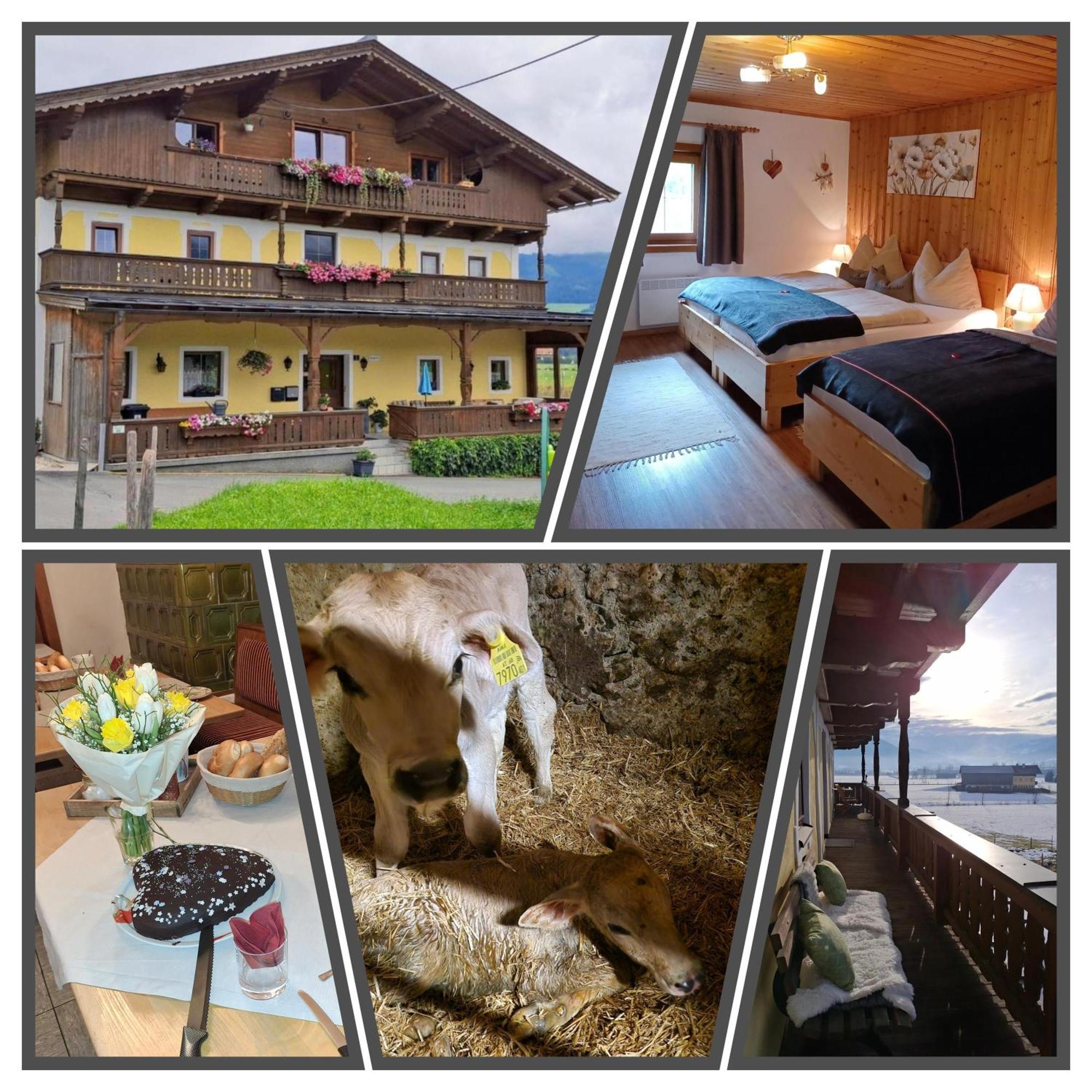 Lampererhof Gospodarstwo agroturystyczne Sankt Johann in Tirol