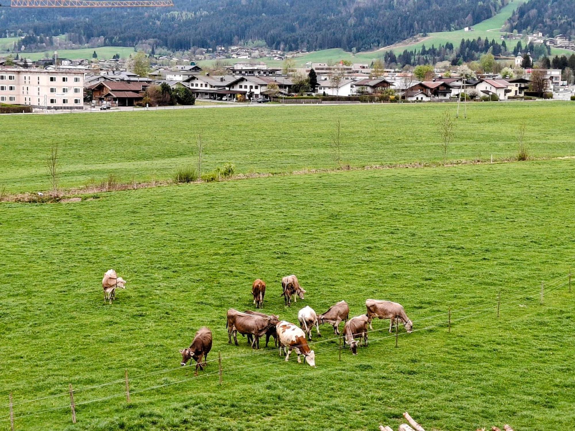 Lampererhof *