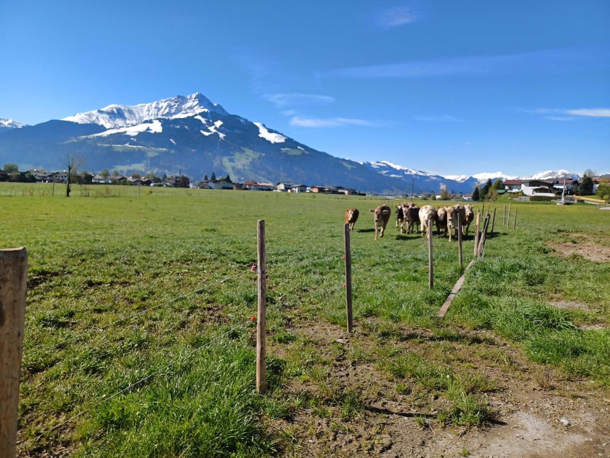 Lampererhof Farm stay Sankt Johann in Tirol