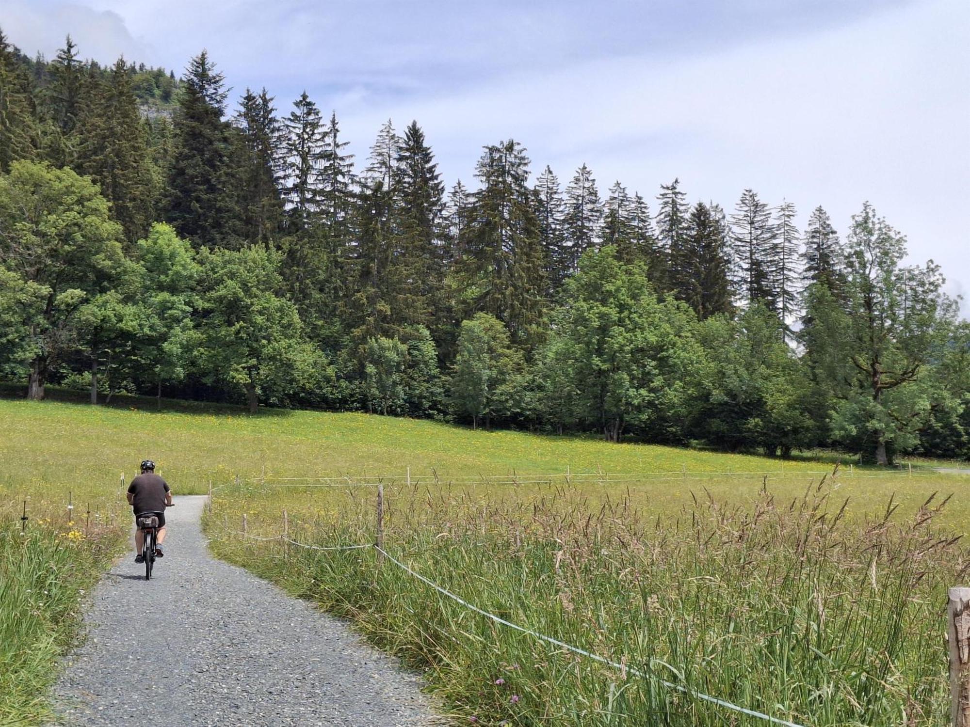 Lampererhof Farm stay