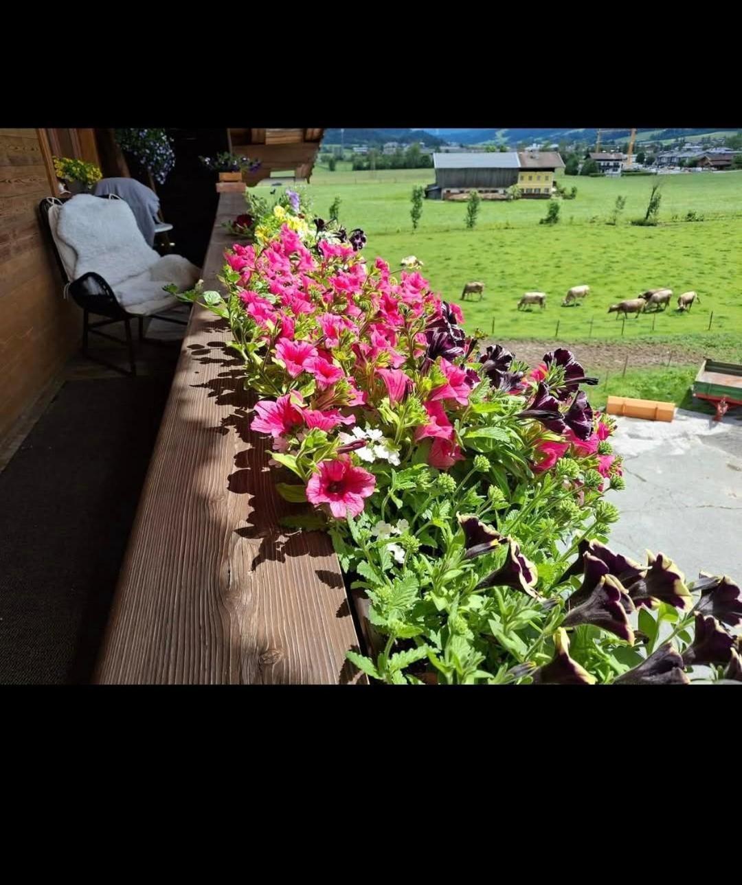 Farm stay Lampererhof