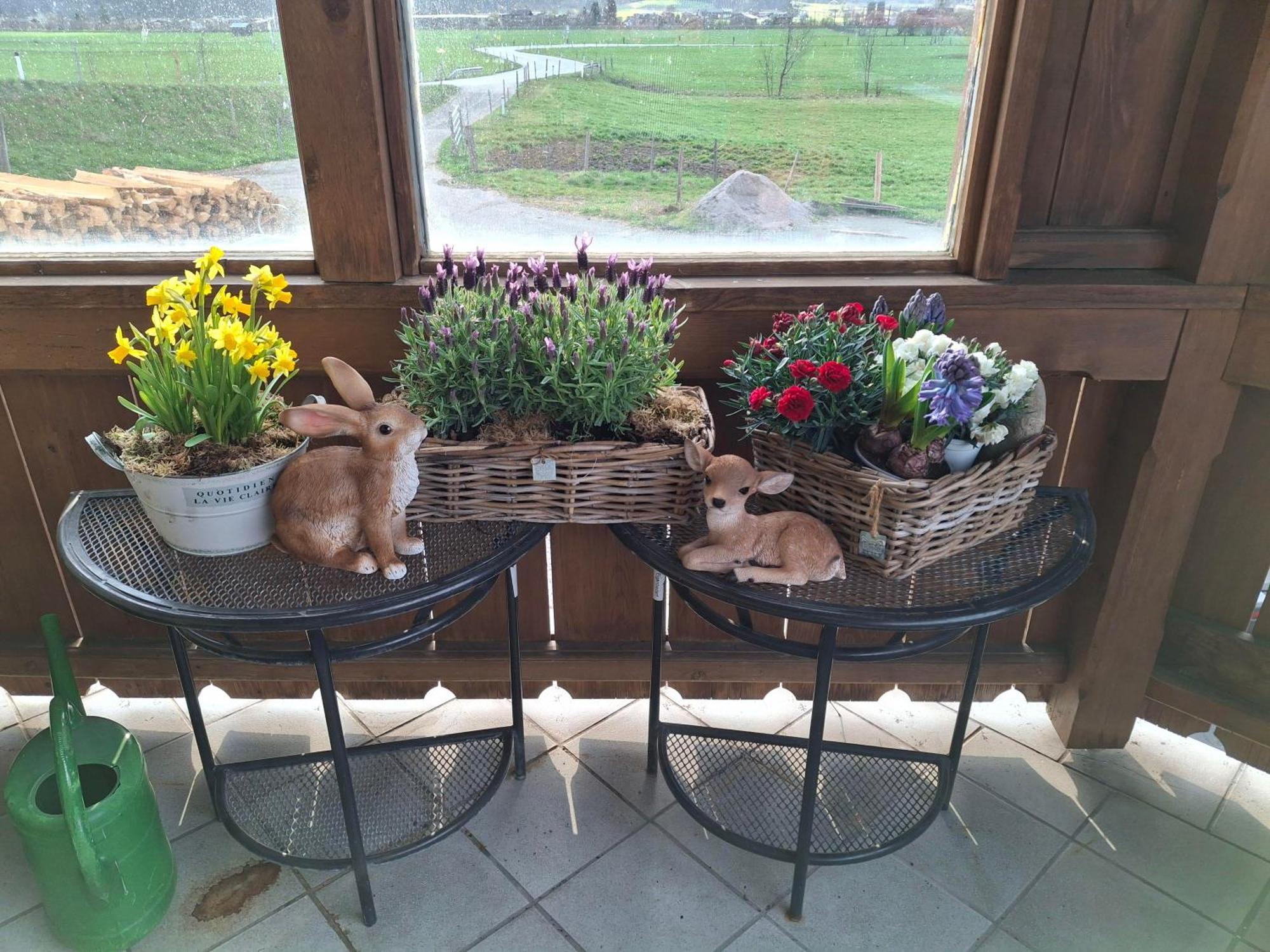 Lampererhof Farm stay *