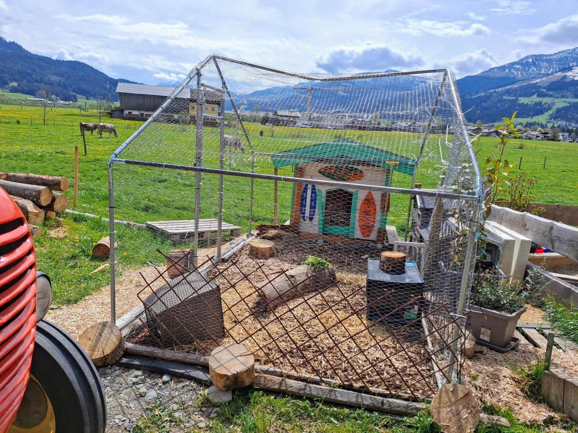 Farm stay Lampererhof