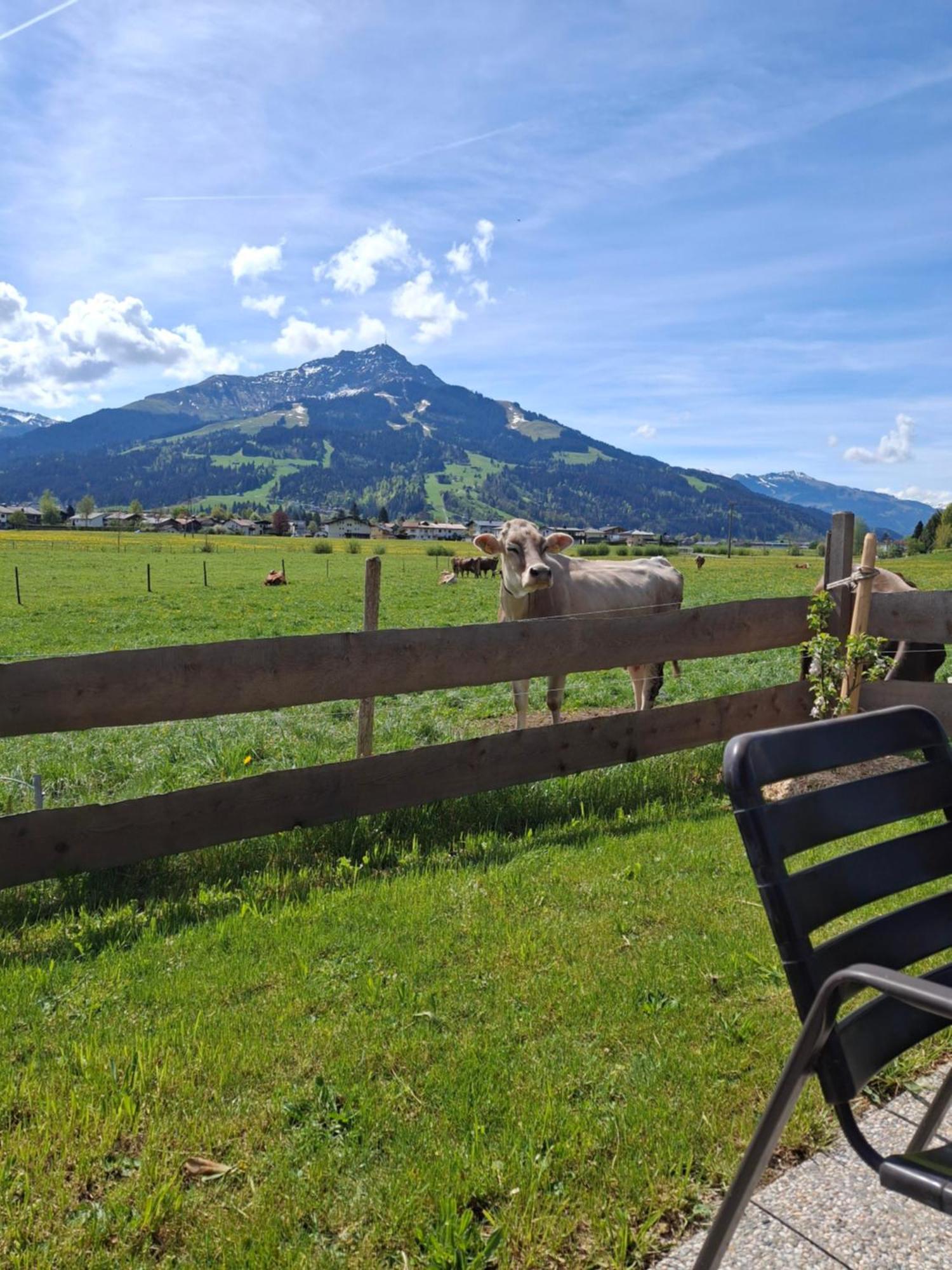 Farm stay Lampererhof